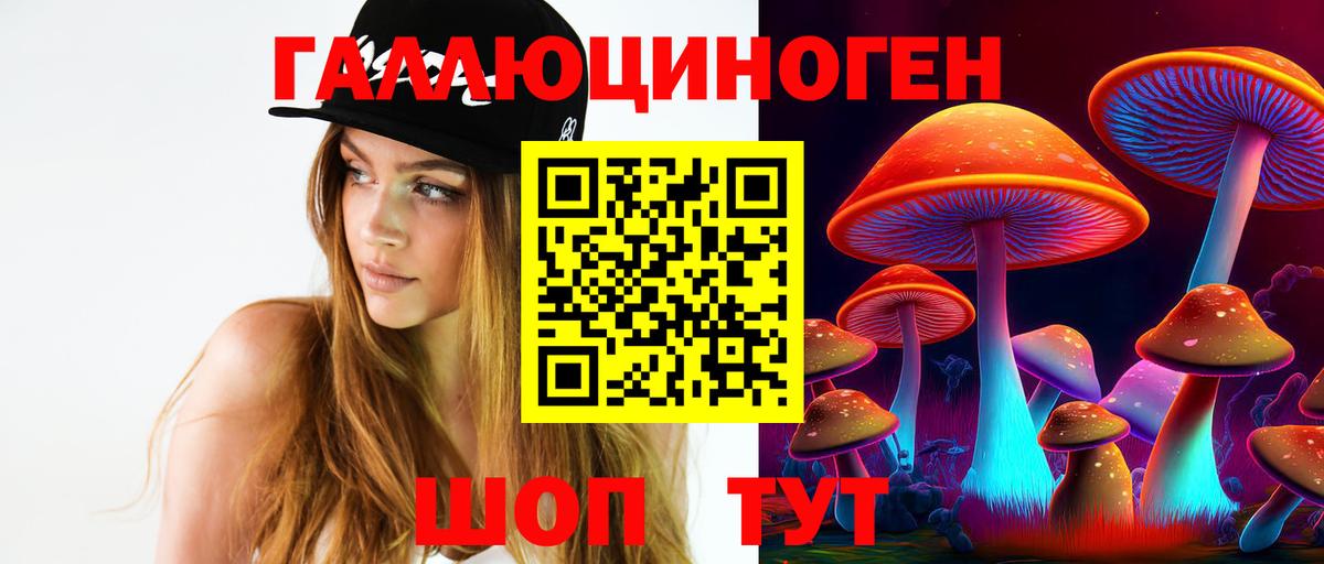 Псилоцибиновые грибы GOLDEN TEACHER  Вход с VPN  Печора  Псилоцибиновые грибы Magic Shrooms 